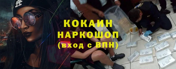 PSILOCYBIN Гусев