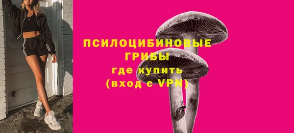 стафф Дмитров
