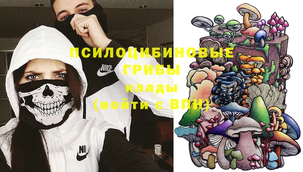 PSILOCYBIN Гусев
